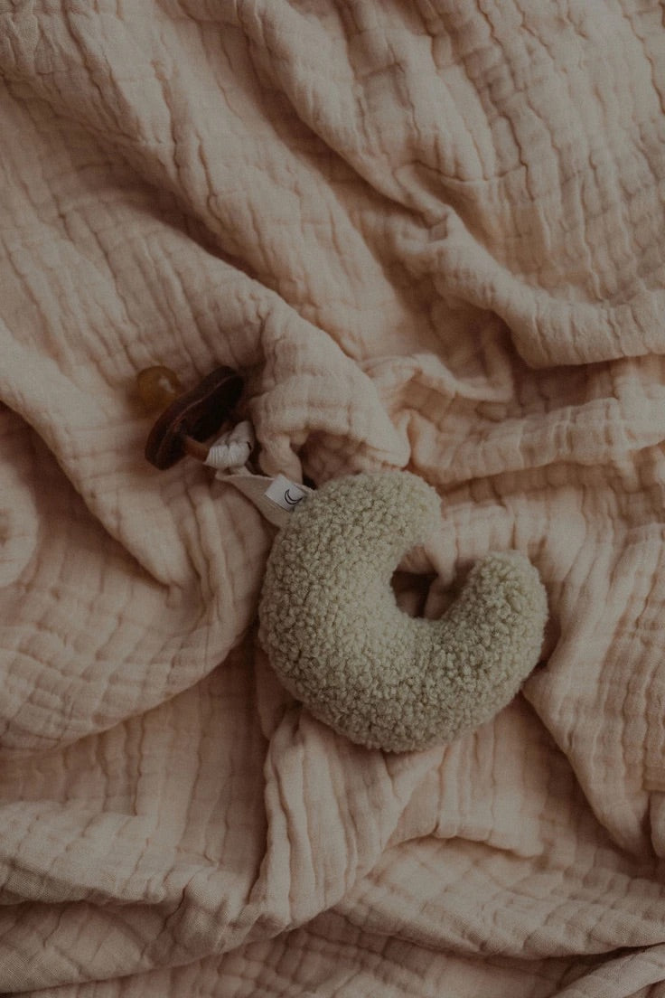 Dappermaentje Teddy Moon Dummy Comforter | Pistachio